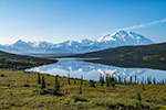 Wonder Lake Reflection